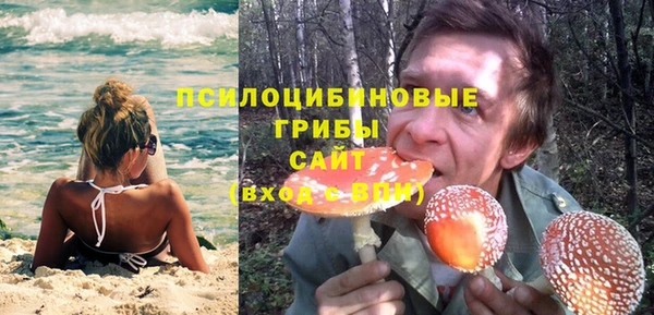 мяу мяу мука Осинники