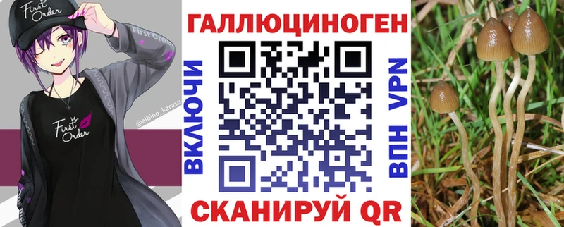Псилоцибиновые грибы ЛСД  маркетплейс Telegram  Гдов 